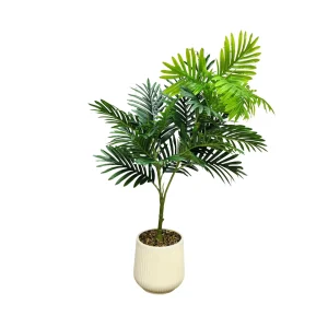 Planta Palma 80cm