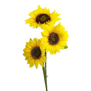 Vara Girasol x3